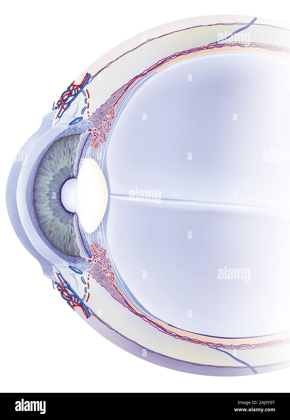 Téléchargement gratuit Images Humor Vitreo Imagenes De Stock Humor Vitreo Fotos De Stock Alamy actualisé par