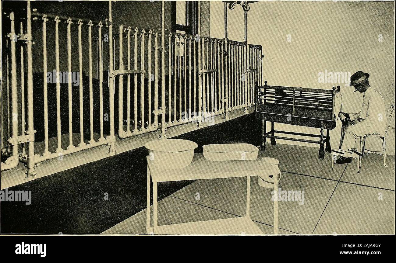 Cólera Porcino suero antiplanta, del Departamento de Agricultura del