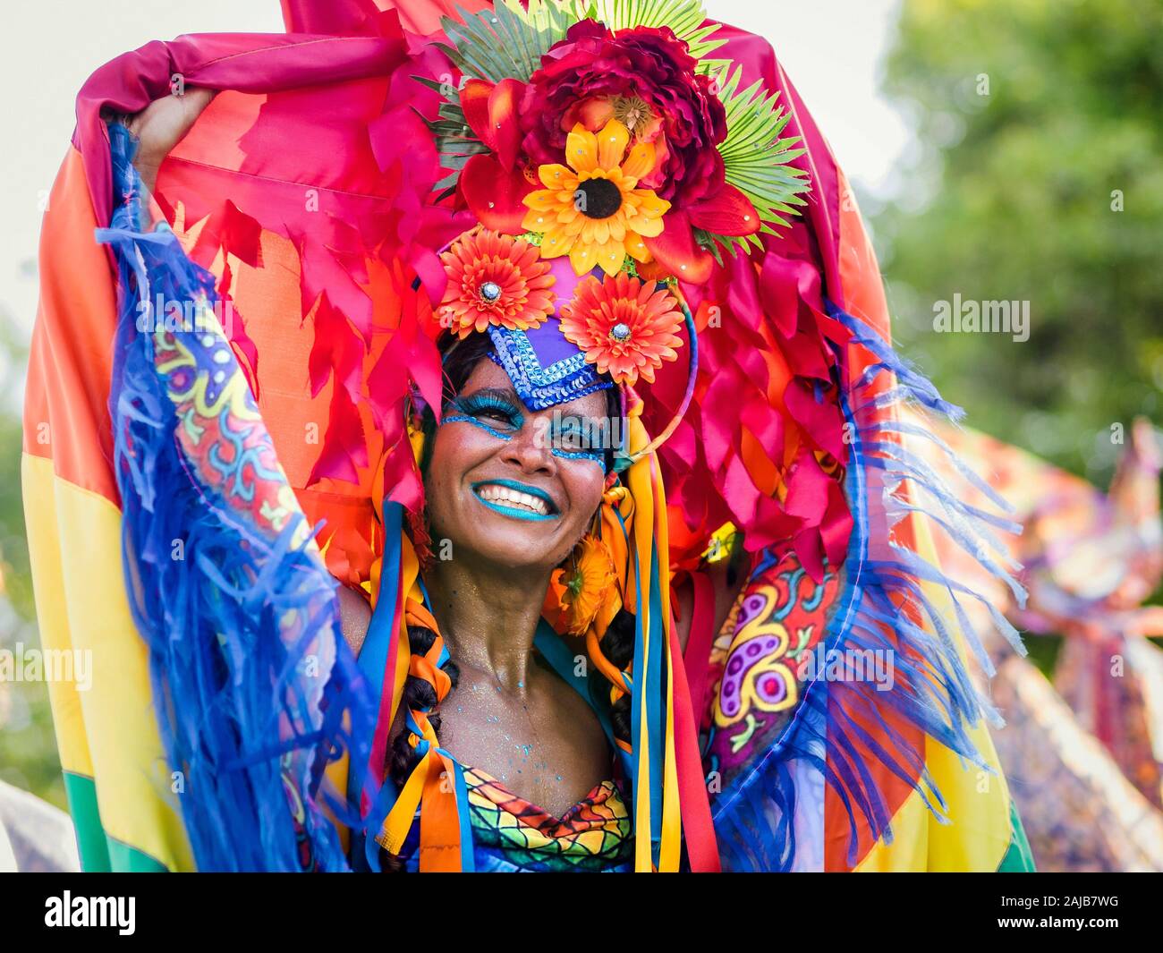 Hermosa mujer brasileña de ascendencia africana vistiendo coloridos trajes y sonriente durante el Carnaval fiesta callejera en Río de Janeiro, Brasil. Foto de stock