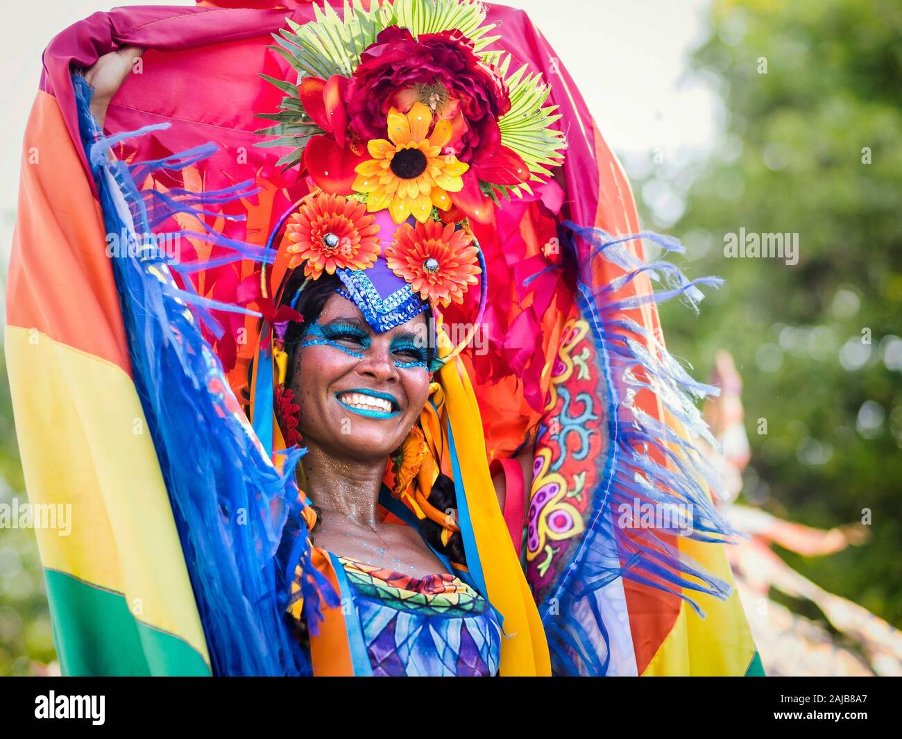 Hermosa mujer brasileña vestida con colorido disfraz de carnaval y bandera  de brasil durante el carnaval en la calle p