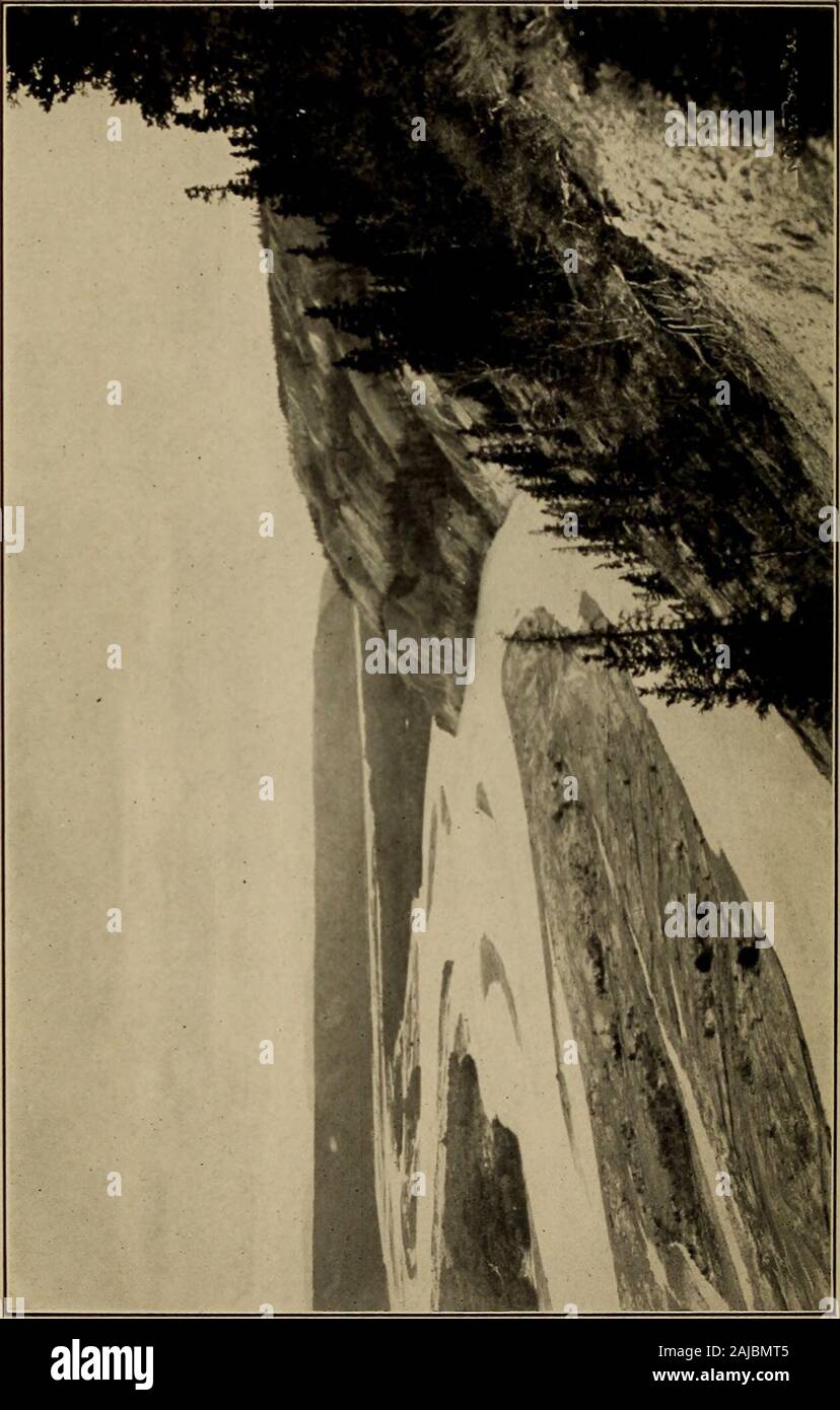 alaska bolsagage fees