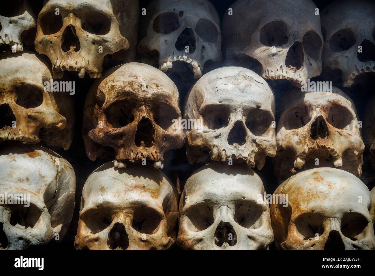 Cráneos humanos de las víctimas de los Jemeres rojos apilados en los campos de exterminio de Choeung Ek Memorial, Phnom Penh, Camboya. Foto de stock