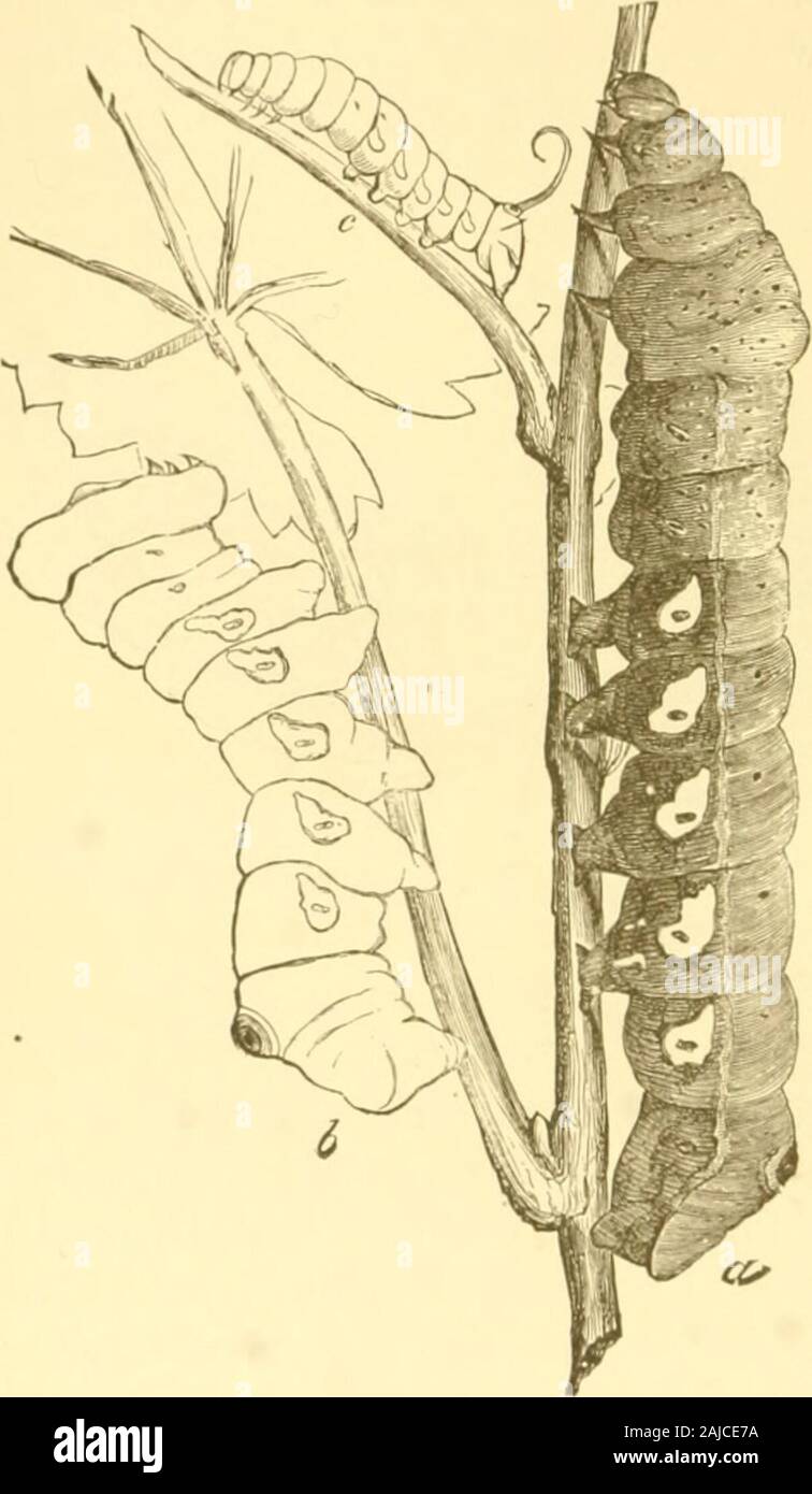 Roughened Imágenes De Stock Roughened Fotos De Stock