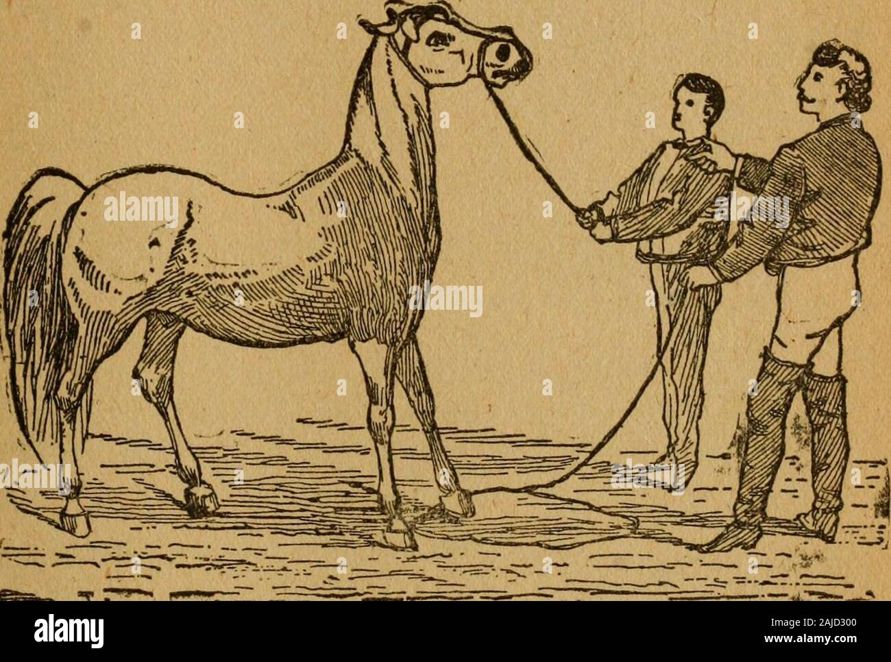 Gleason's Horse reservar el único lugar autorizado para trabajar en los