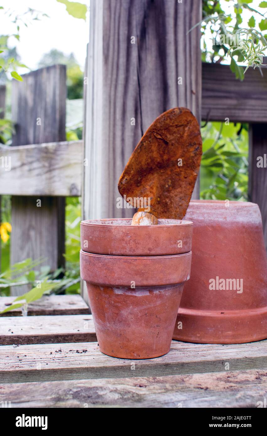 Las ollas de arcilla descansa sobre un banco de madera en un galpón, con un oxidado palas listo para plantar un nuevo crecimiento Foto de stock