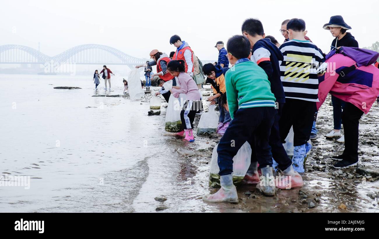 (200104) -- BEIJING, 4 de enero de 2020 (Xinhua) -- los ciudadanos release fry voluntariamente en el Río Yangtze en Nanjing, capital de la provincia de Jiangsu de China oriental, Noviembre 15, 2019. (Nanjing Yangtze marsopa negral, Conservation Association/Folleto a través de Xinhua) Foto de stock