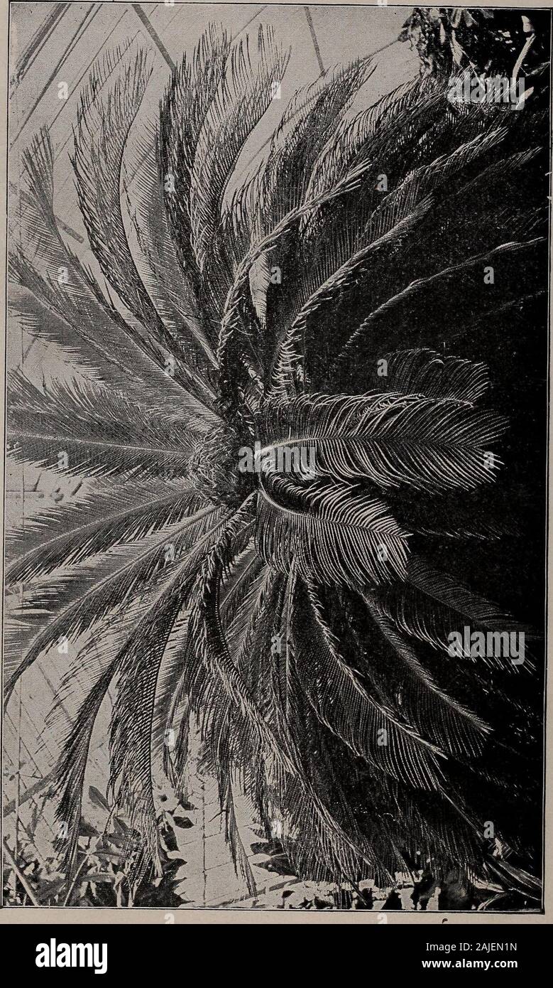 Centimetros Cubicos Y Mililitros Es Lo Mismo Onza troy Fotos e Imágenes de stock - Página 5 - Alamy