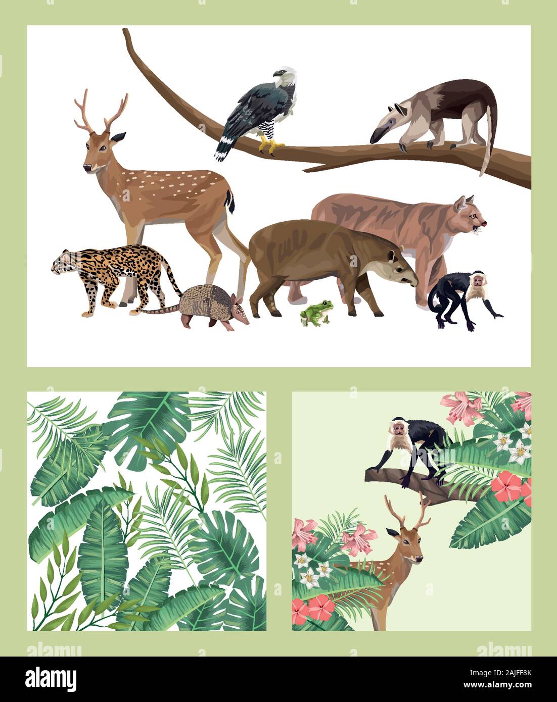 Grupo de especies silvestres y exóticas de los animales Imagen Vector de  stock - Alamy