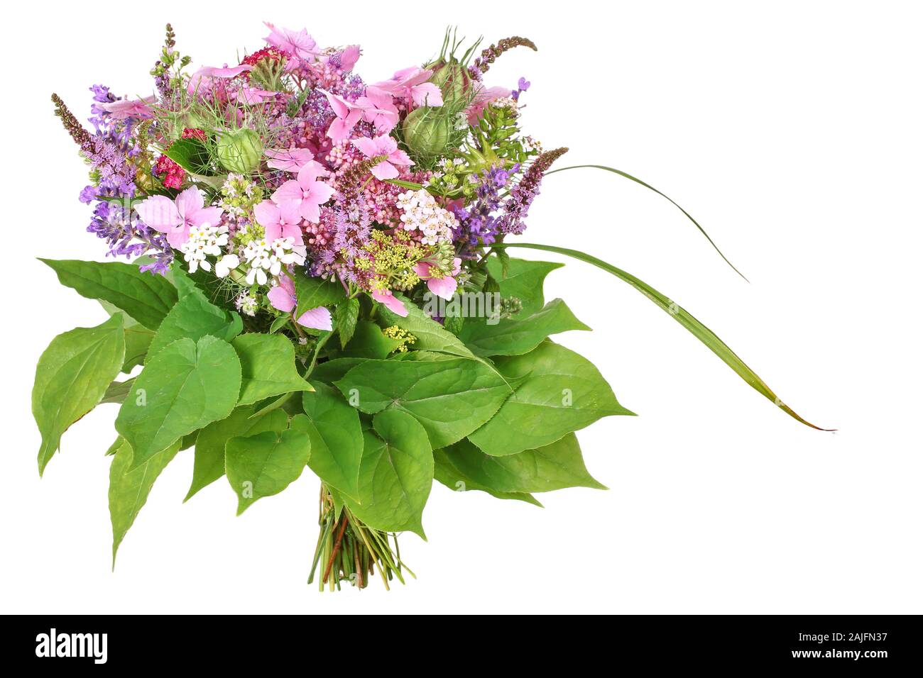 Ramo de flores con hydrangea y lavanda Foto de stock