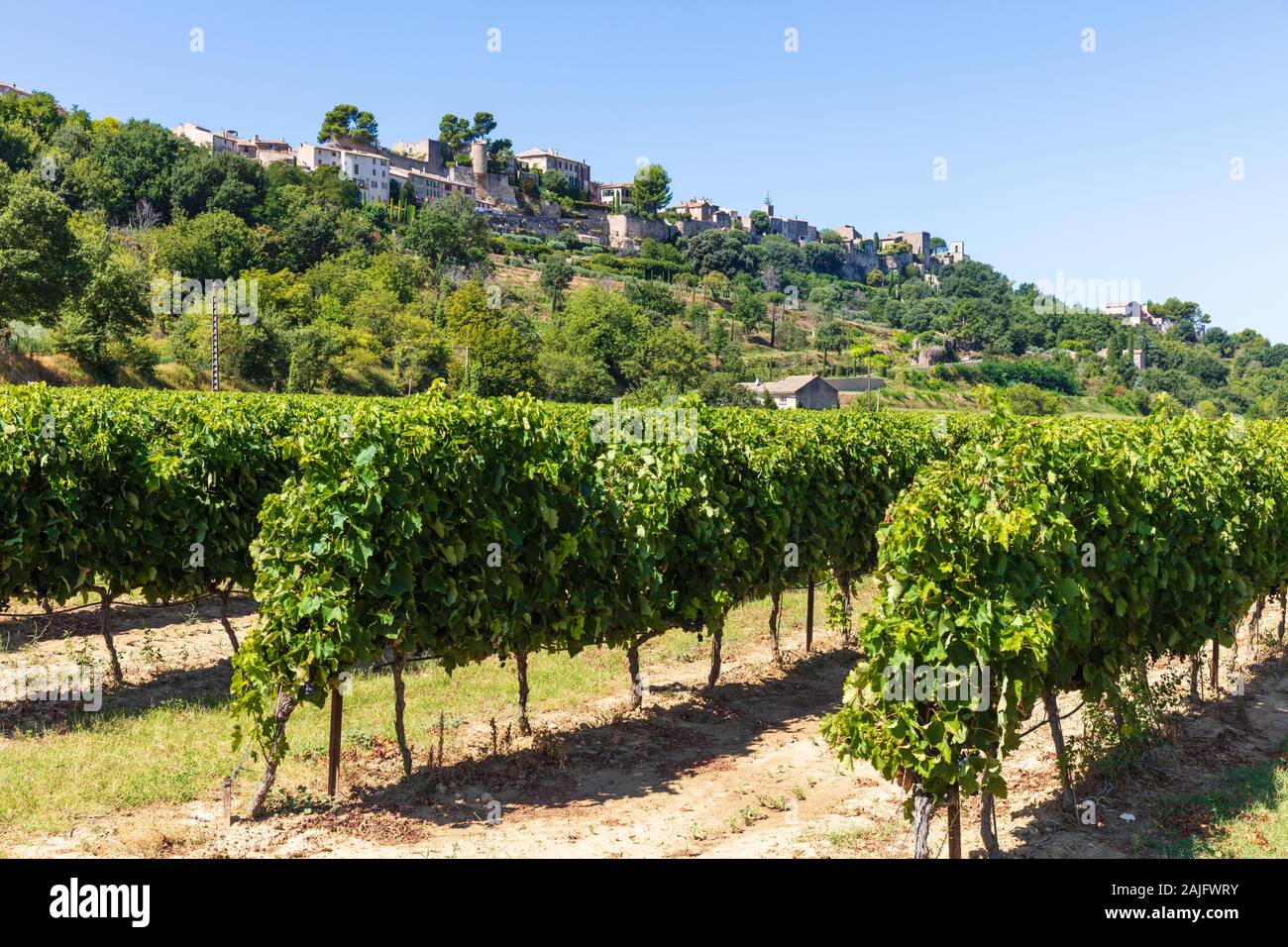 Vista de una típica aldea francesa y vinyard en el Luberon, Provenza, en el sur de Francia Foto de stock
