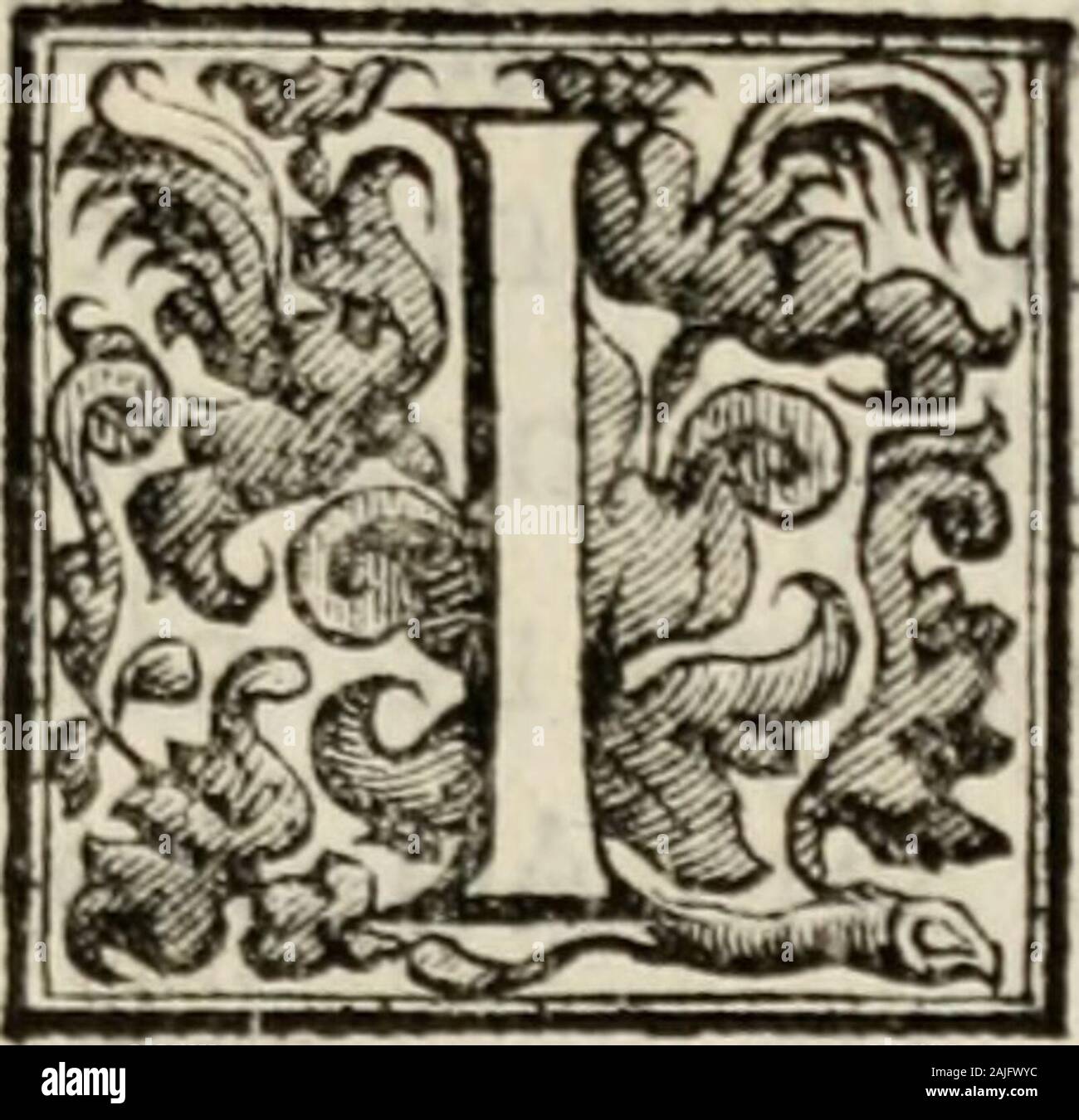 Le glorie de gli incogniti : O vero gli hvomini illvstri della̓ccademia de ̓signori incogniti di Venetia . GIROLx.... G H I L I N I ALESSANDRINO. N Monza Città Imperiale nello Stato^di Milano 1589. fòrti Tanno la fiia na- Icita en qucfto mondo Girolamo fieli- li 1 nolo Di Gio. Giacomo Ghilini Nobi-le Alcfrandrino (Sj vnodes Regij^eDLi-caliScgictarijdi quello Stato, e di Vie*-toriaHomata Gentildonna Monzelè , e fu allenato iuMilano fottola cura deccellenti Maeftri,daquali (ap-prefe le lettereHumanc , la Rettoiica, e la Filololia)pafiò aHVniuerfità di Parma,pcr incominciare il cor-fo delle leggi Foto de stock