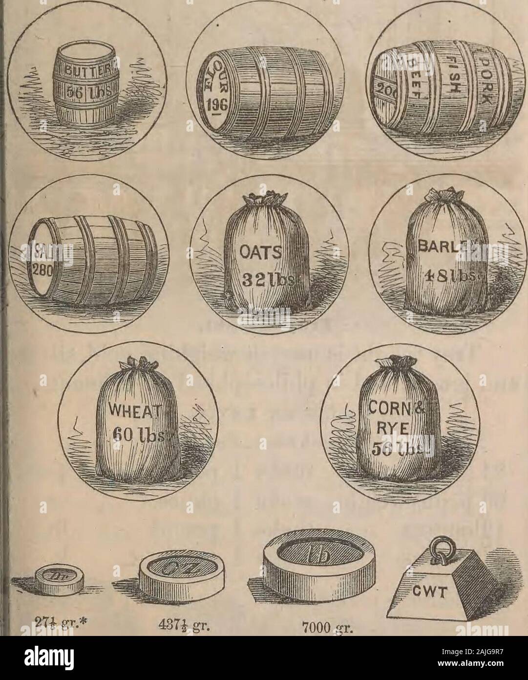Las Primeras Lecciones En N meros Tabla Ilustra Un Libro Dise ado las-primeras-lecciones-en-n-meros-tabla-ilustra-un-libro-dise-ado