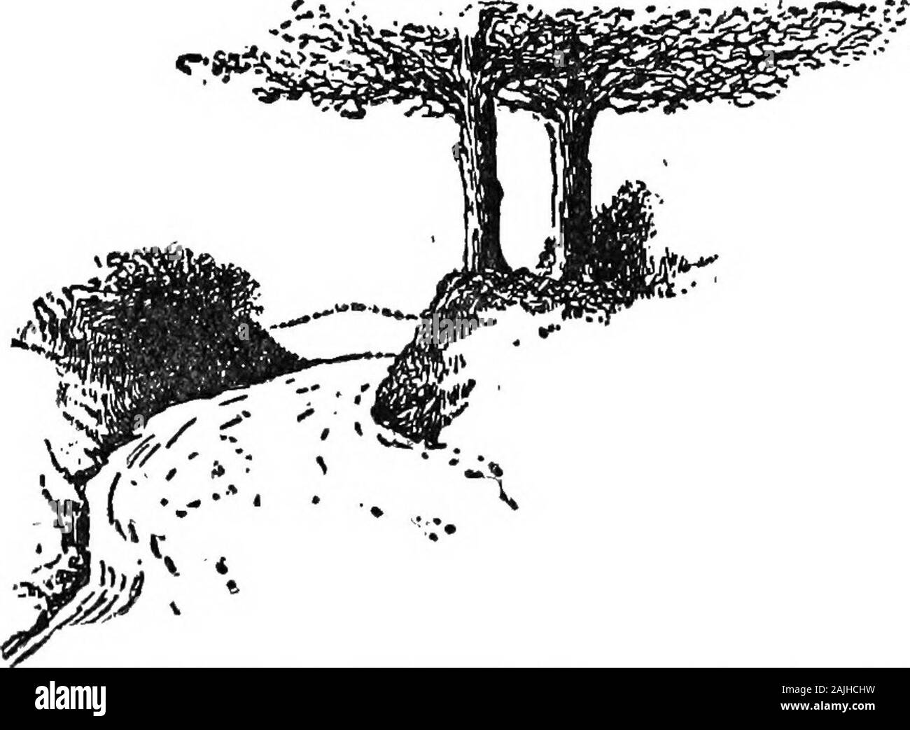 Los cuatro hombres; un fárrago . El 30º OFOCTOBER 1902. El 30 de octubre de 1902 aún había viento en el cielo, y cloudsshaped a él, y delante de ella en la conducción coldmorning como subimos el carril por ScalandsGate y entre los bosques; andstill deshojado la carretera aumentó hasta llegamos a Brightlingvillage, y pensábamos que estábamos wouldstep en el Inn y el desayuno, nos hadwalked cuatro millas, y todos los que camino cuesta arriba wehad apenas dice una palabra uno al otro. Pero cuando estuvimos en el inn wefoimd existe un muy vividor con una especie ofready sonrisa detrás de su rostro, y los ojos Foto de stock