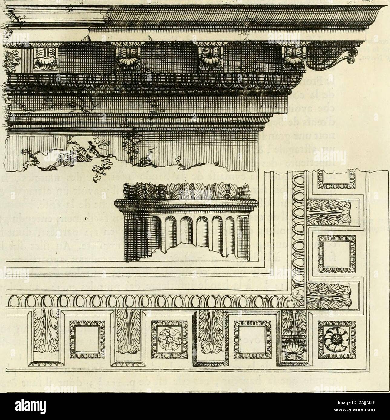 Cours d'architecture enseigné dans l'Academie royale d'architecture :  premiere[-cinquième] partie ... . Du fécond mutule,il y a p. z9 : Ce qui  fait quil ny un aucune correfpondance entreles colonnes & les