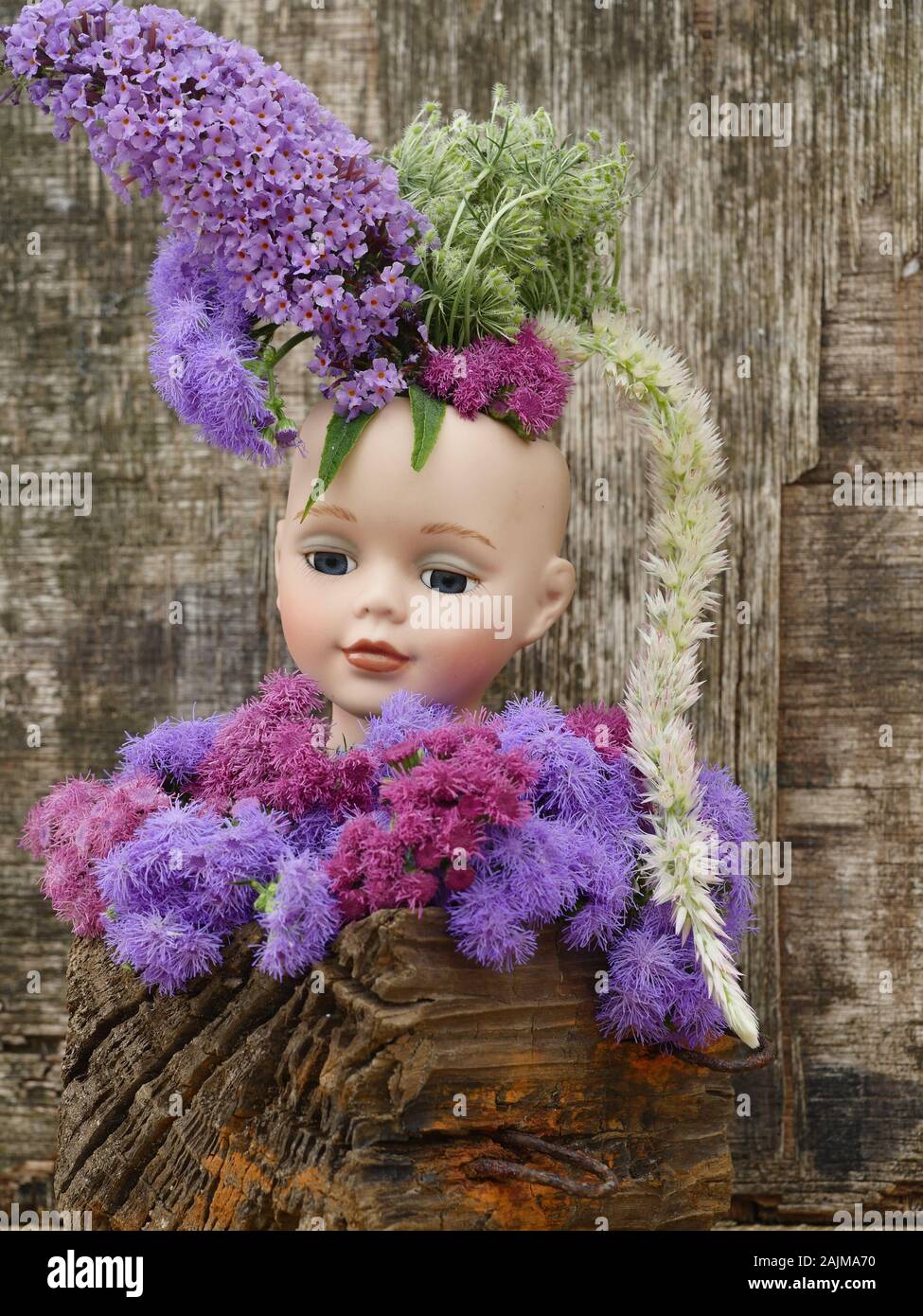 Cabeza de muñeca con Ageratum, flores de pompón azul lavanda y rosa,  buddleia, Daucus carota, amaranto Fotografía de stock - Alamy