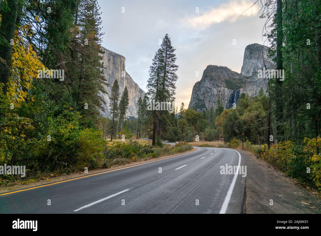 Vista de dos carriles de carretera a través del Parque Yosime al amanecer durante la temporada de otoño Foto de stock