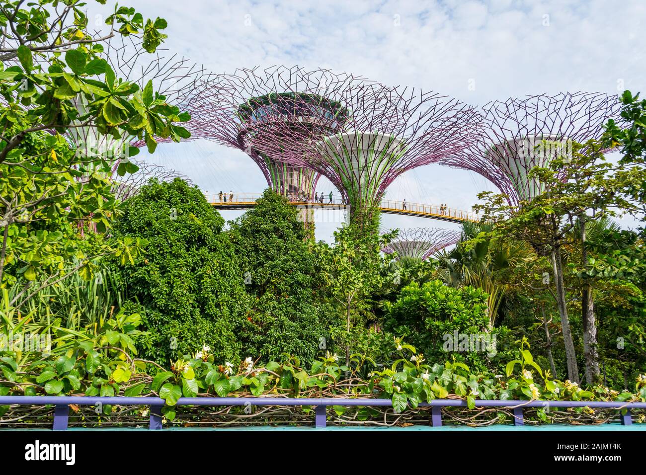 Los jardines de la Bahía de Singapur Foto de stock