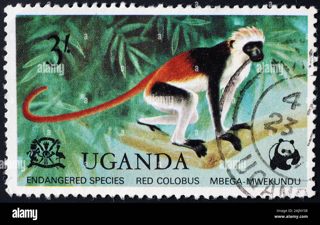 Colobus rojo en sello de franqueo ugandés Foto de stock