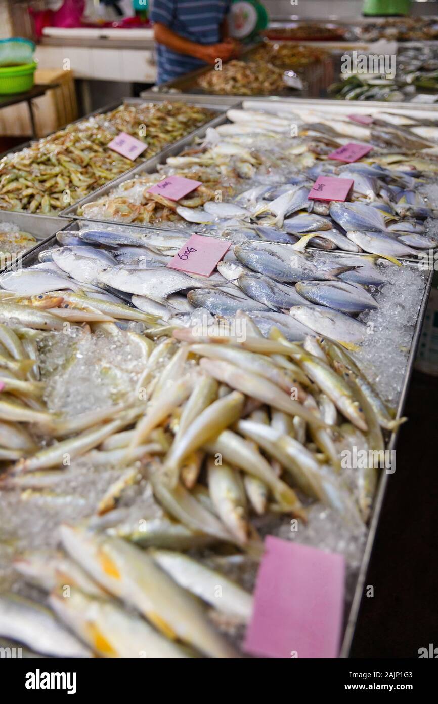 Diversos pescados frescos en exhibición en el puesto en el mercado Foto de stock