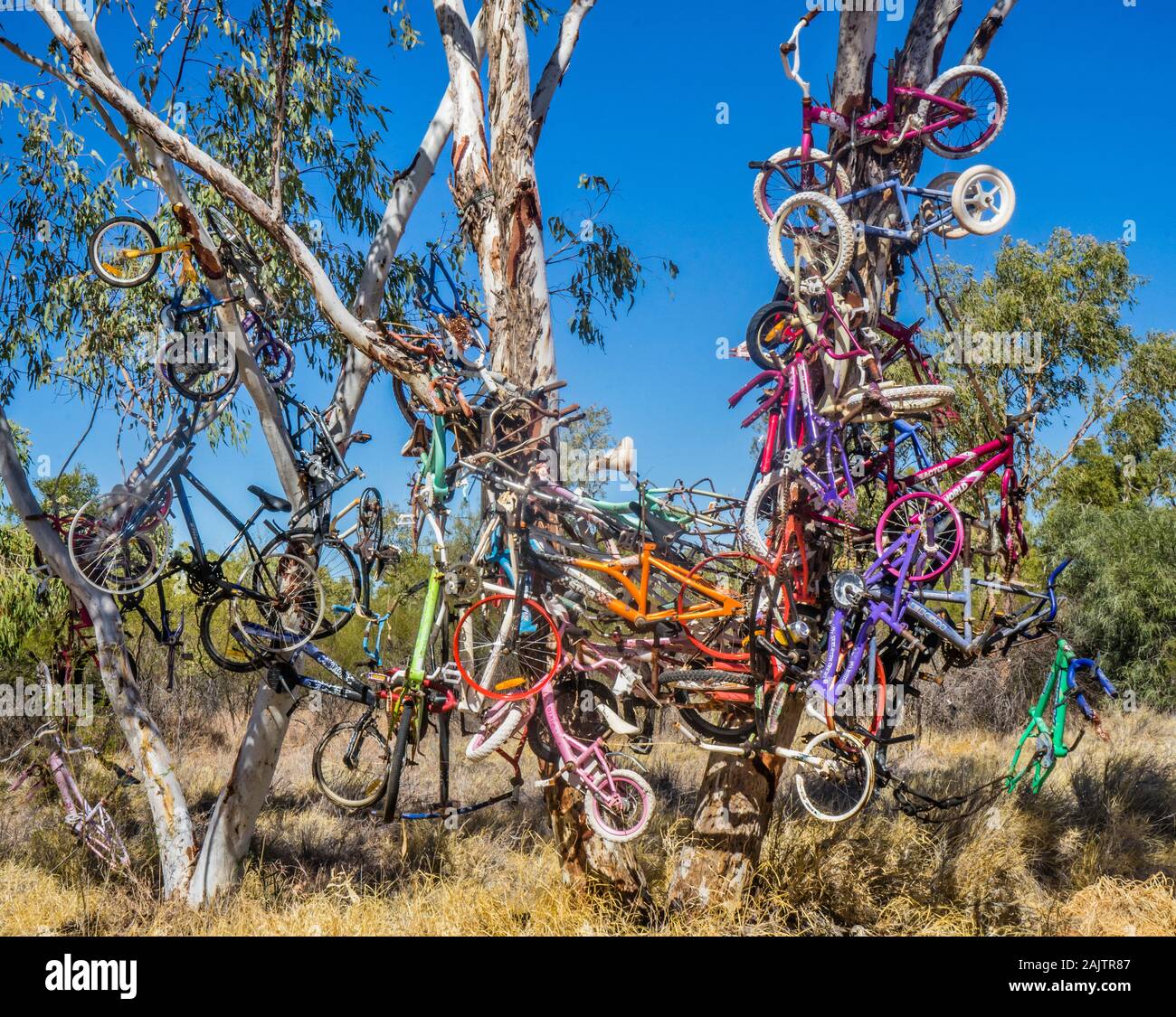 "La bicicleta tree', una buena muestra del outback homour Diamantina en la carretera entre Boulia Desarrollo y Mount Isa Foto de stock