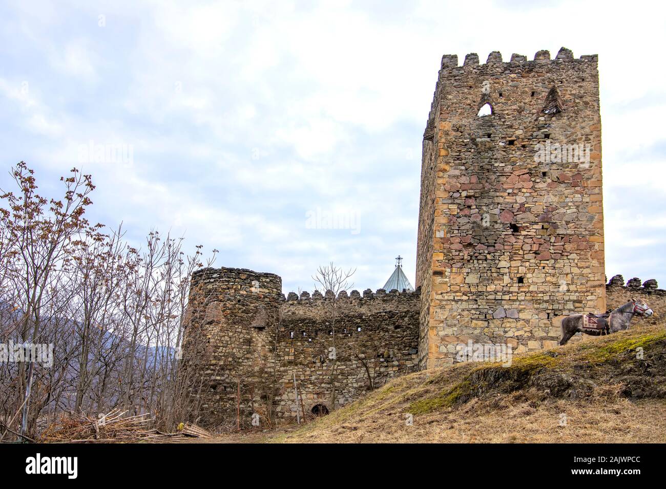 Ananuri histórico castillo fortificado sobre el Río Aragvi en Georgia Foto de stock