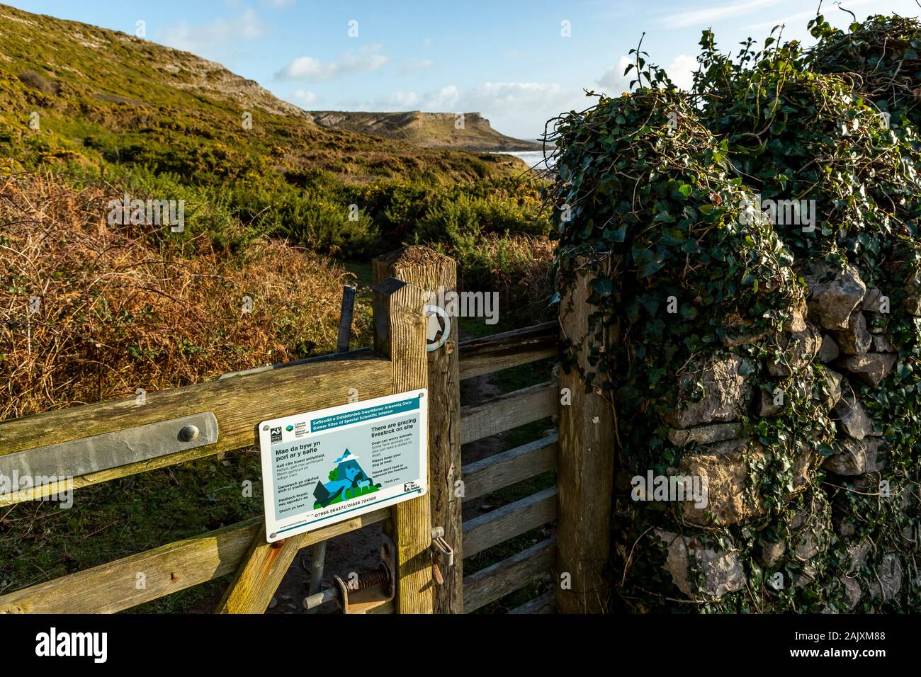 Reserva natural la compuerta y stile en Overton Mera y acantilado. Port Eynon, la Península de Gower, Wales Foto de stock