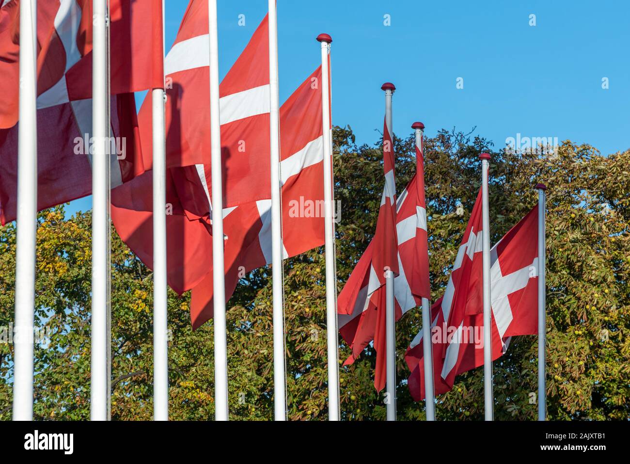Fila de banderas danesas en un día soleado Foto de stock