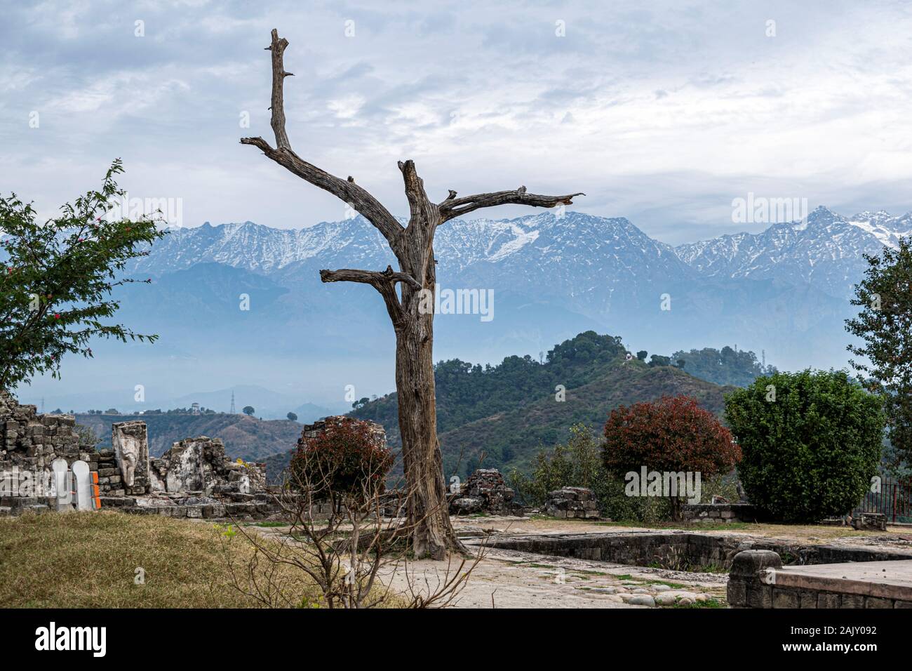 Vista de los Himalayas desde Fort, Kangra Kangra, Himachal Pradesh, India Foto de stock