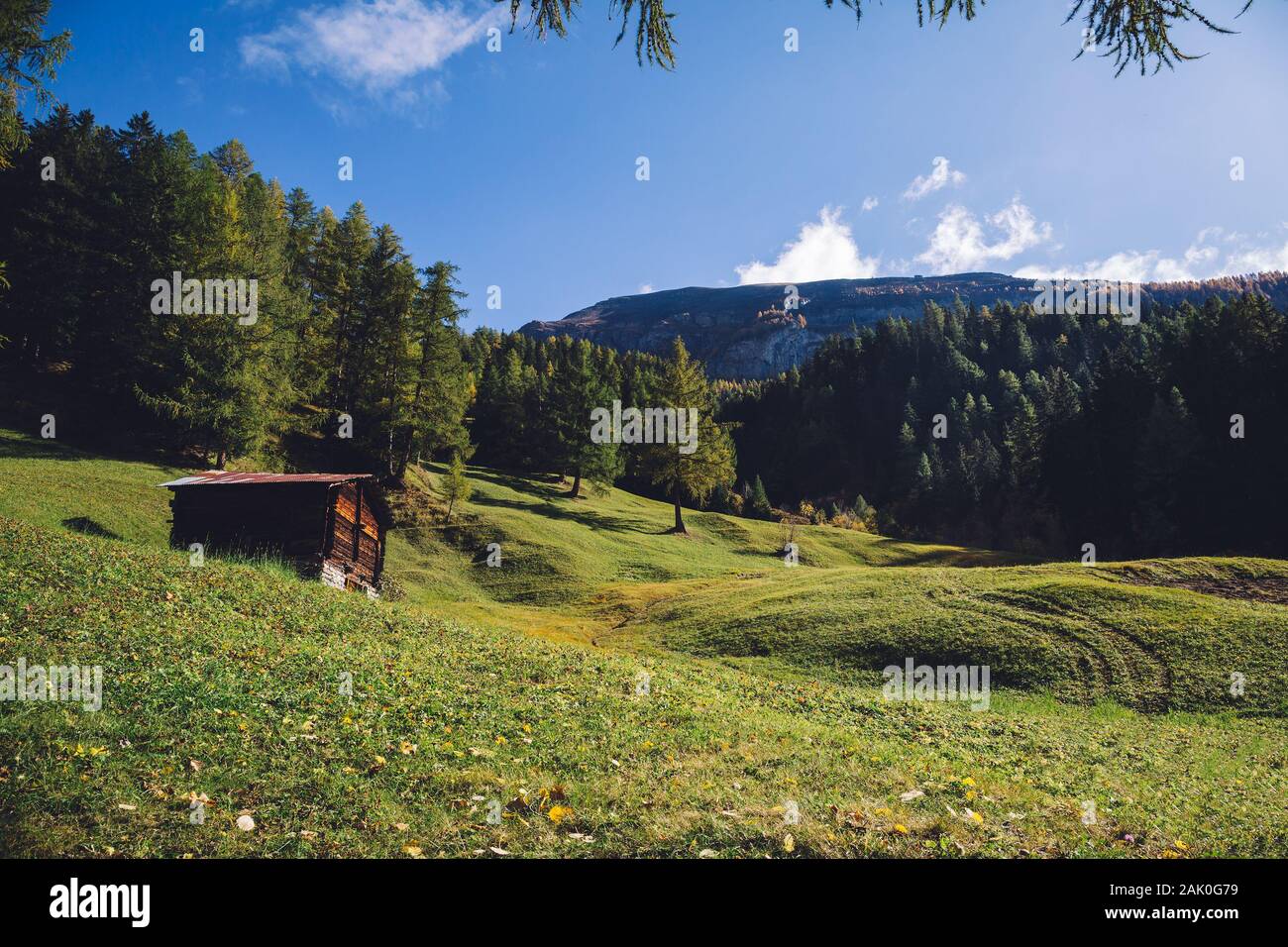 Meadow, chalet, el bosque y el paisaje de las montañas de los Alpes Suizos. Foto de stock