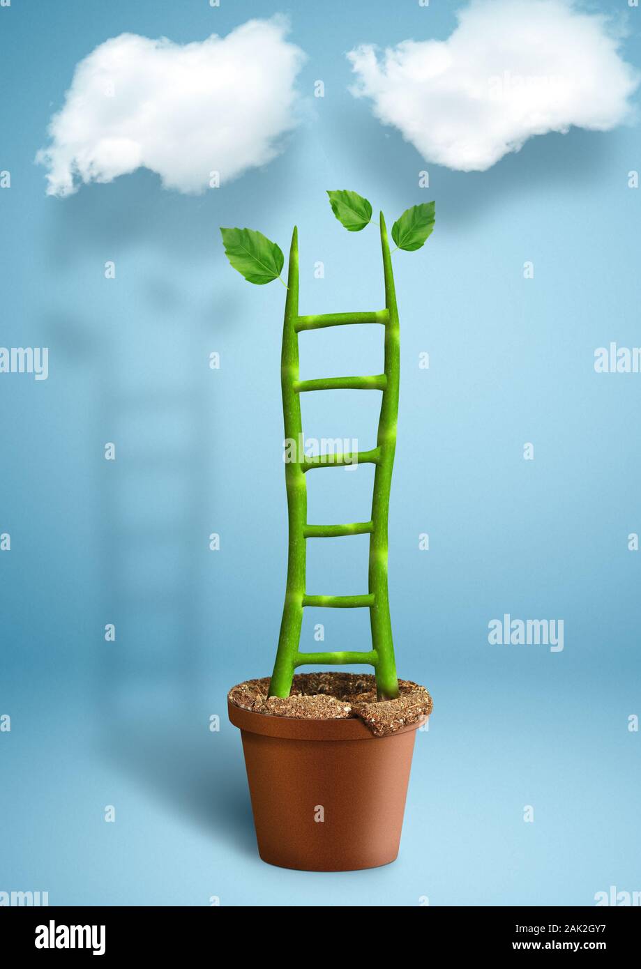 Escalera del éxito el concepto creativo, el crecimiento de las plantas en maceta como escalera Foto de stock