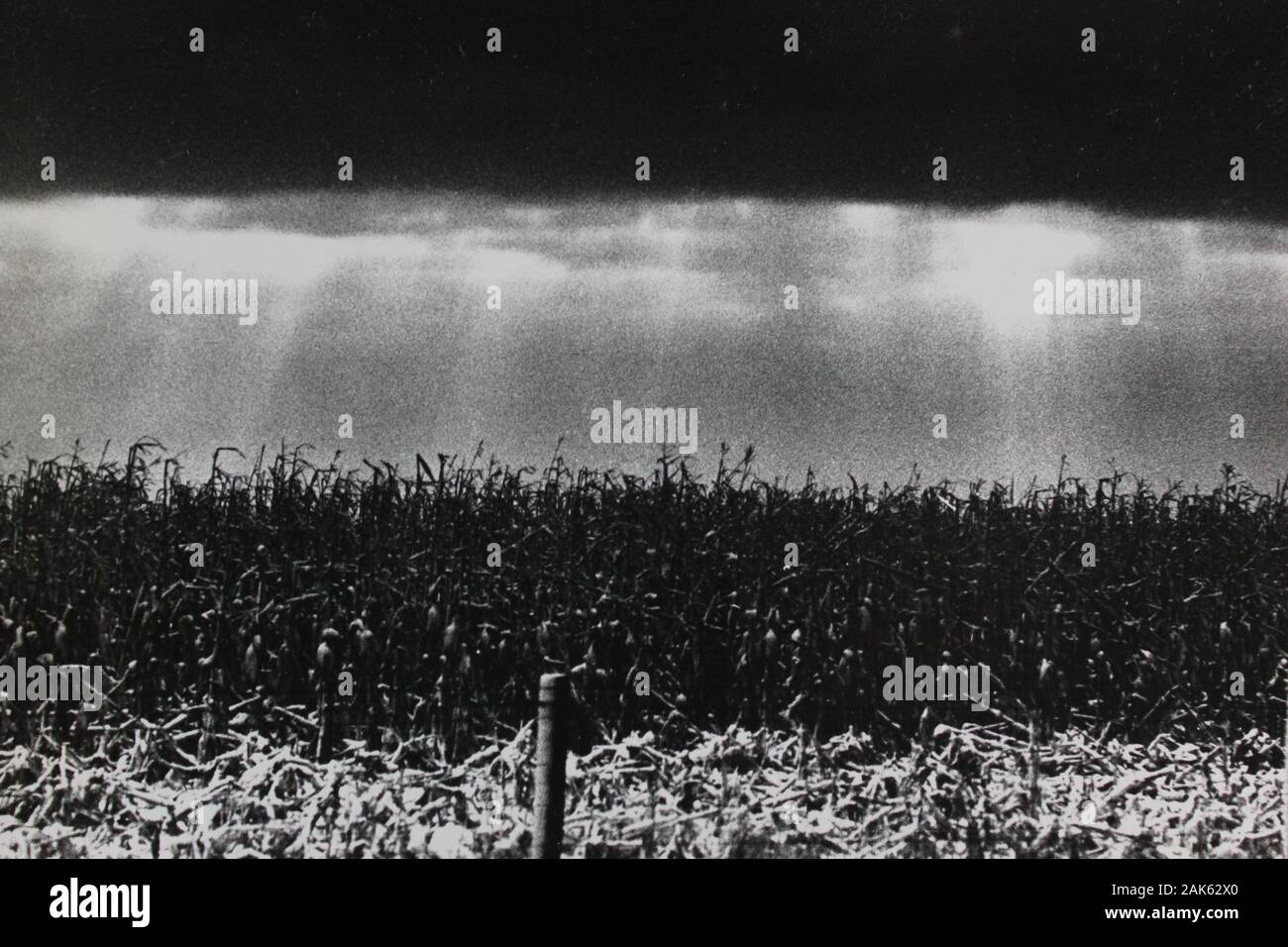 Minimalismo de los años setenta fotografía vintage en blanco y negro de un campo vacío Foto de stock