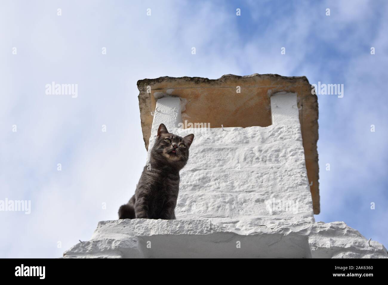 Gato oscuro por chimenea blanca - techo de piedra de un trulli - un símbolo de la ciudad de Alberobello, Italia Foto de stock