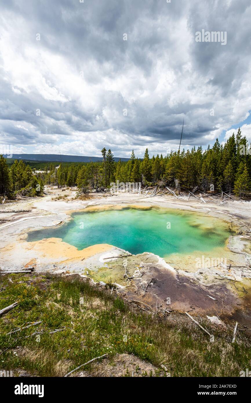 En la primavera de Esmeralda Norris Géiser Basin en el Parque Nacional Yellowstone, Wyoming, EE.UU. Foto de stock