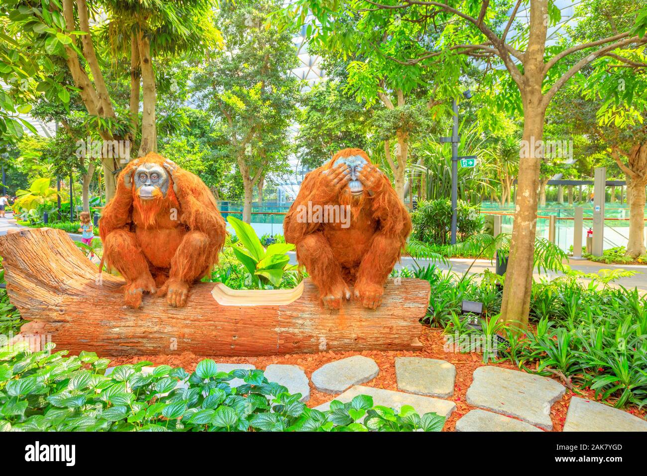 Singapur - el Aug 8, 2019: Dos orangutanes escultura Topiary, paseo en canopy Park. Joya Changi Airport es un parque temático con jardines, atracciones, un Foto de stock