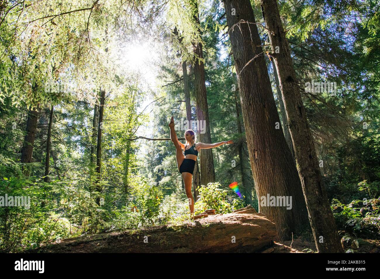 Mujer haciendo yoga debajo de Giant Sequoia, Tacoma, Estado de Washington, EE.UU. Foto de stock
