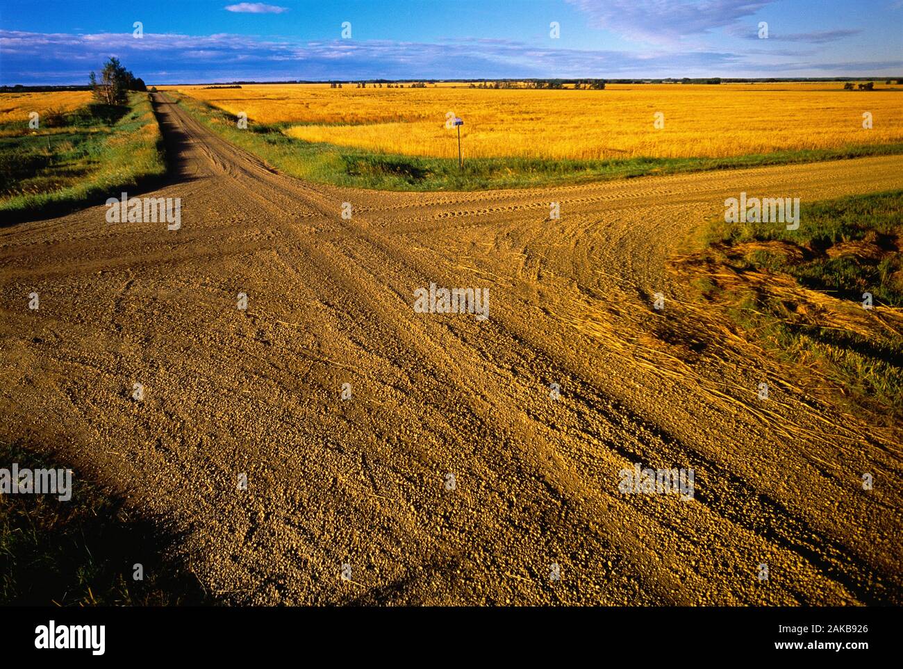 Paisaje de interior con suciedad de intersecciones de carreteras y campos, mijo, Alberta, Canadá Foto de stock