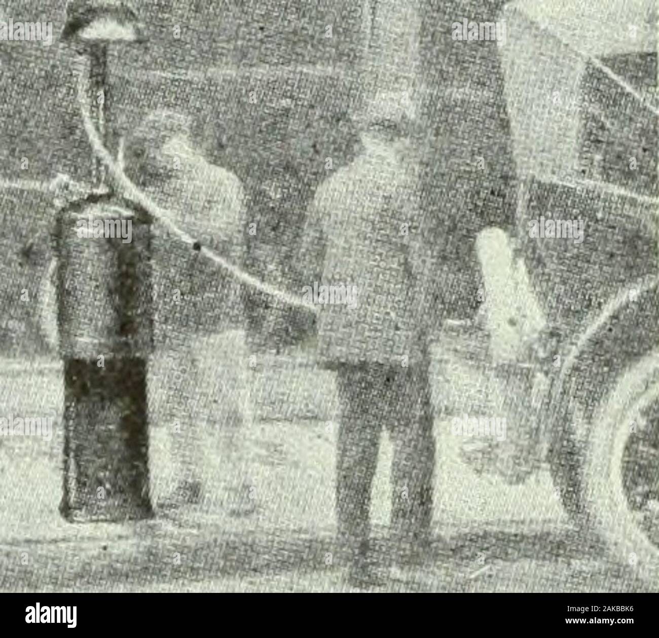 Almacenero canadiense Julio-Septiembre 1919 . Foto de stock