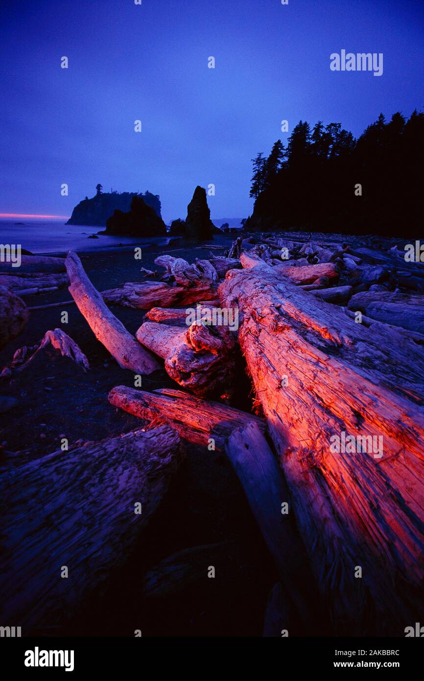 Paisaje con driftwood en la playa por la noche, la inserción, el Parque Nacional Olímpico, Estado de Washington, EE.UU. Foto de stock