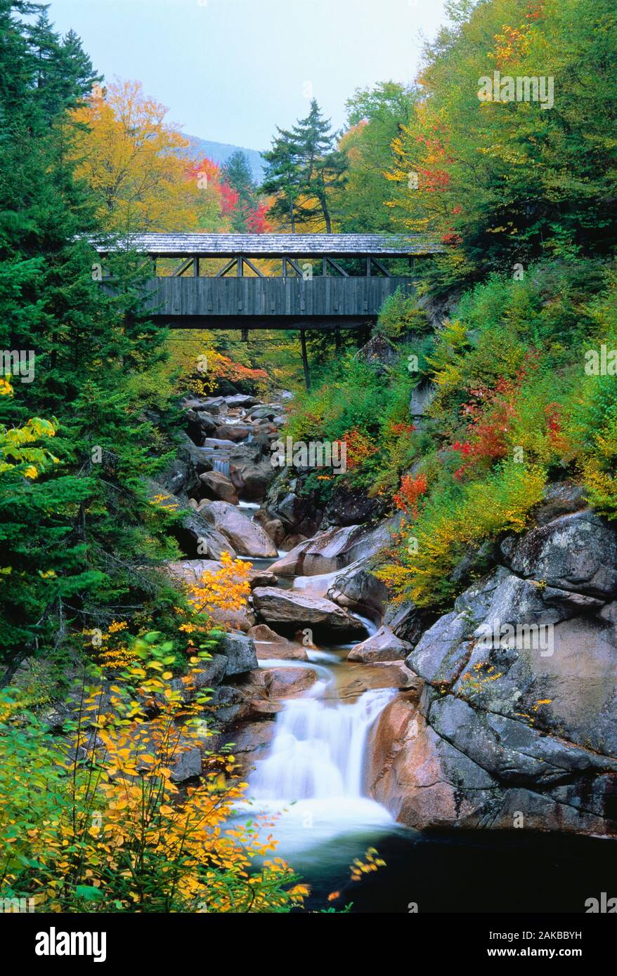Puente cubierto a través de la cañada, Franconia Notch, New Hampshire, EE.UU. Foto de stock
