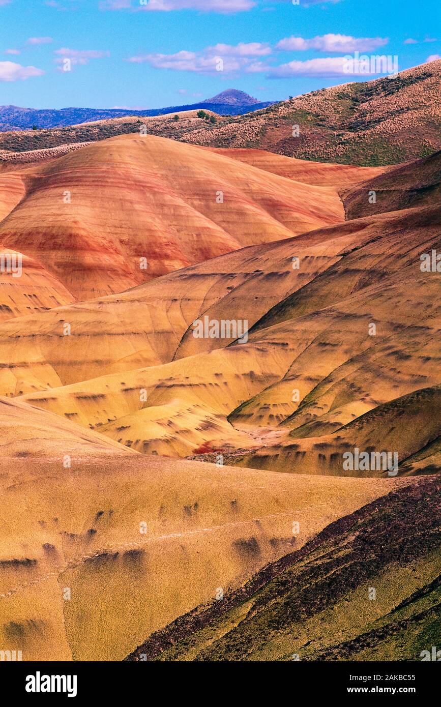 Paisaje con colinas en desierto, John Día yacimientos fósiles, cerros pintados, unidad de Oregón, EE.UU. Foto de stock