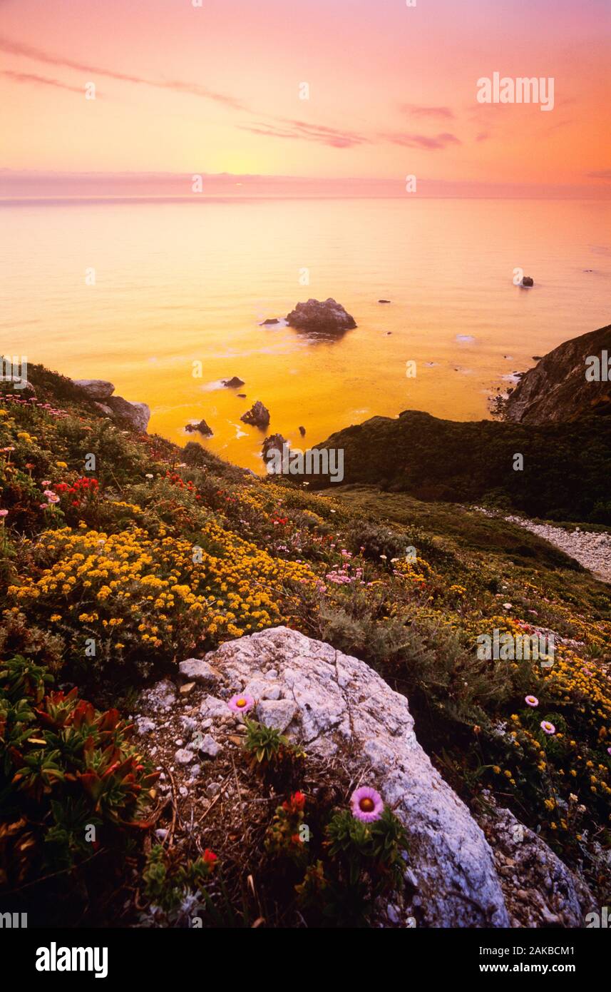 Vista de la costa, en el atardecer, California, EE.UU. Foto de stock