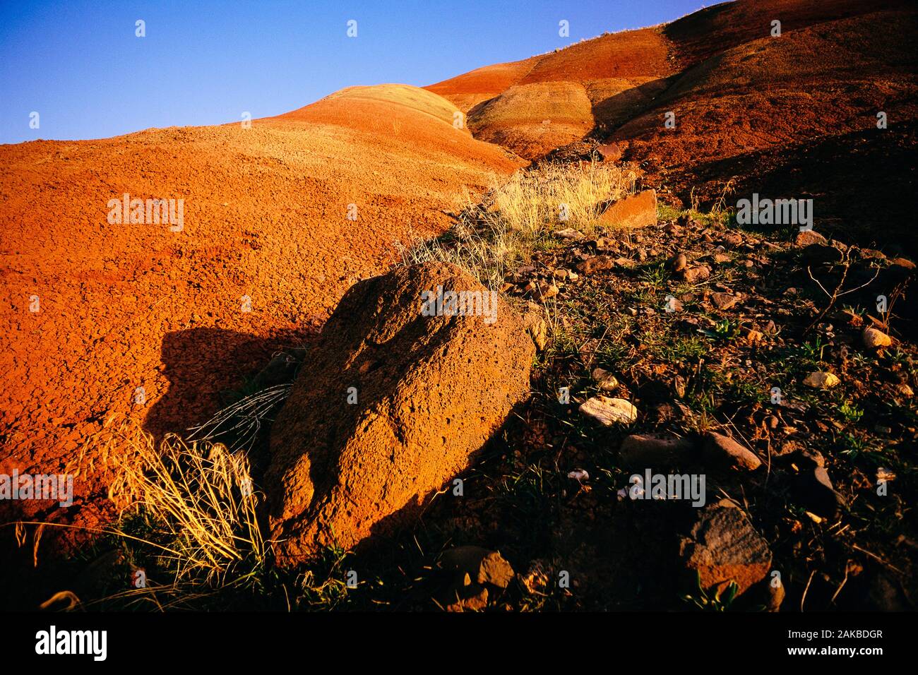 Paisaje con formaciones rocosas en el desierto, John Día yacimientos fósiles National Park, Oregón, EE.UU. Foto de stock