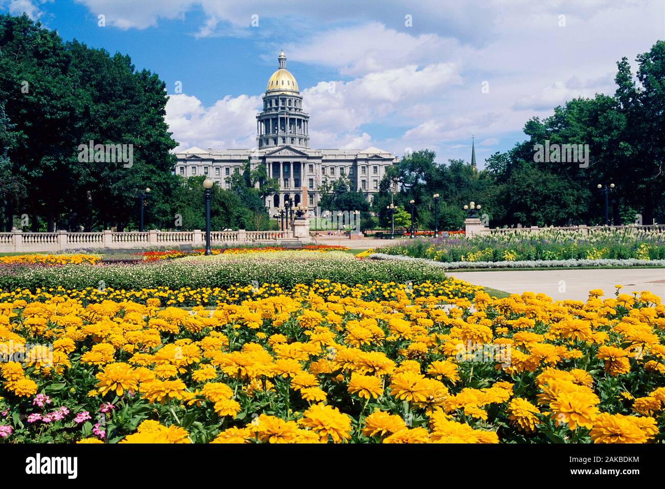 El edificio del Capitolio con amarillo huerto en estacionamiento en primer plano, de Denver, Colorado, EE.UU. Foto de stock
