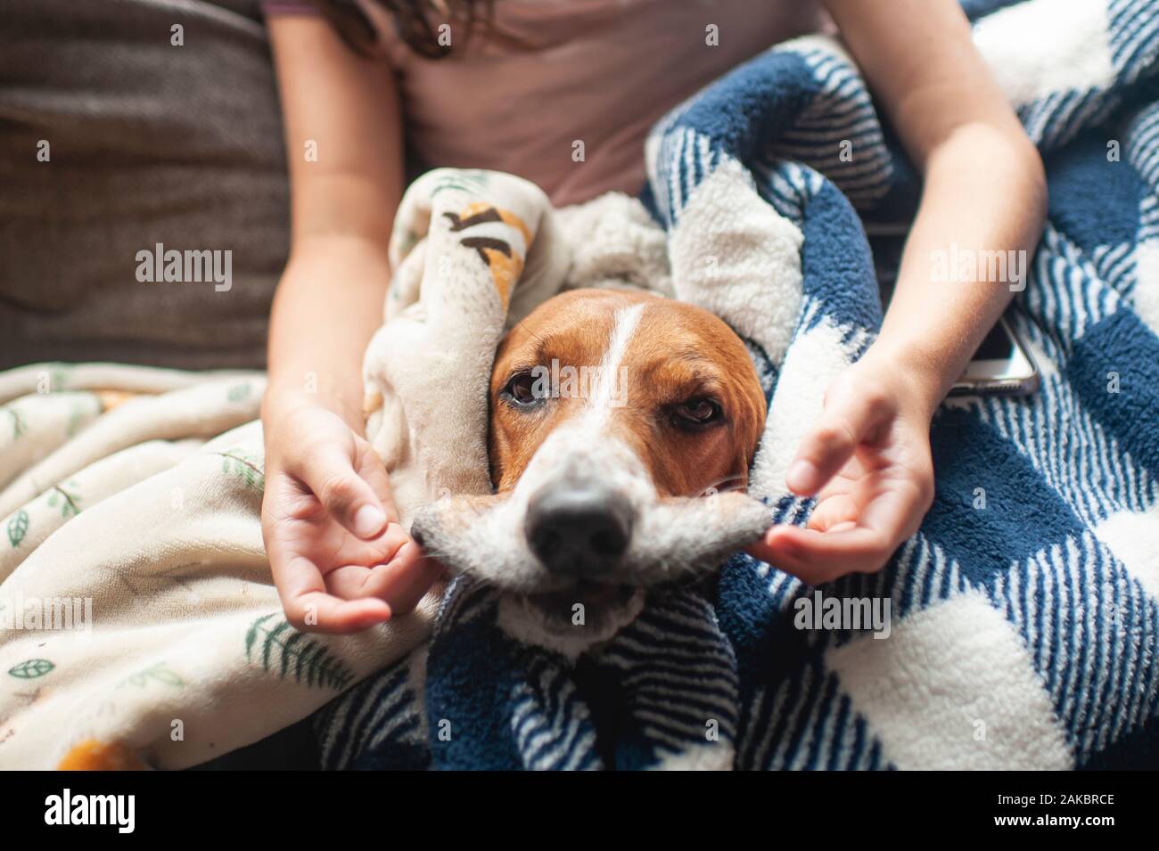 La niña sostiene los labios del perro de perro de la perrera de la cuna hacia fuera para hacer una cara tonta Foto de stock