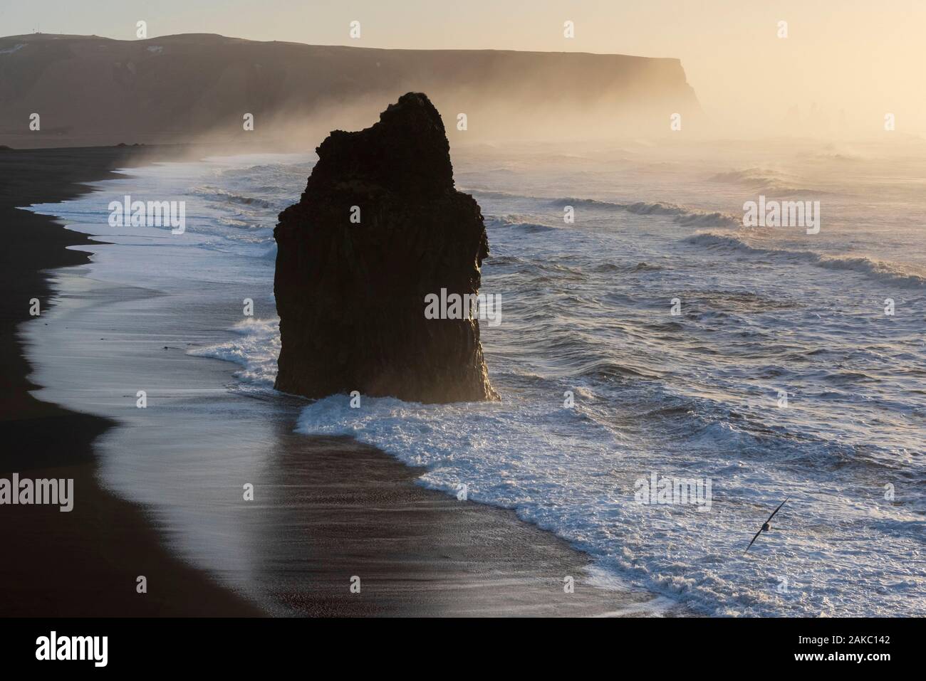 Islandia, Sudurland, Vik, tormenta, playas de arena negra y Reynisfjara Reynisdrangar Kirkjufara, agujas Foto de stock