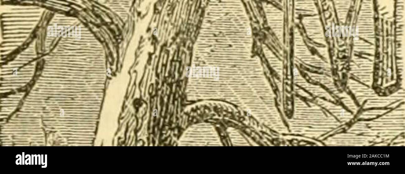 The V I P S Fotos E Imagenes De Stock Pagina 58 Alamy