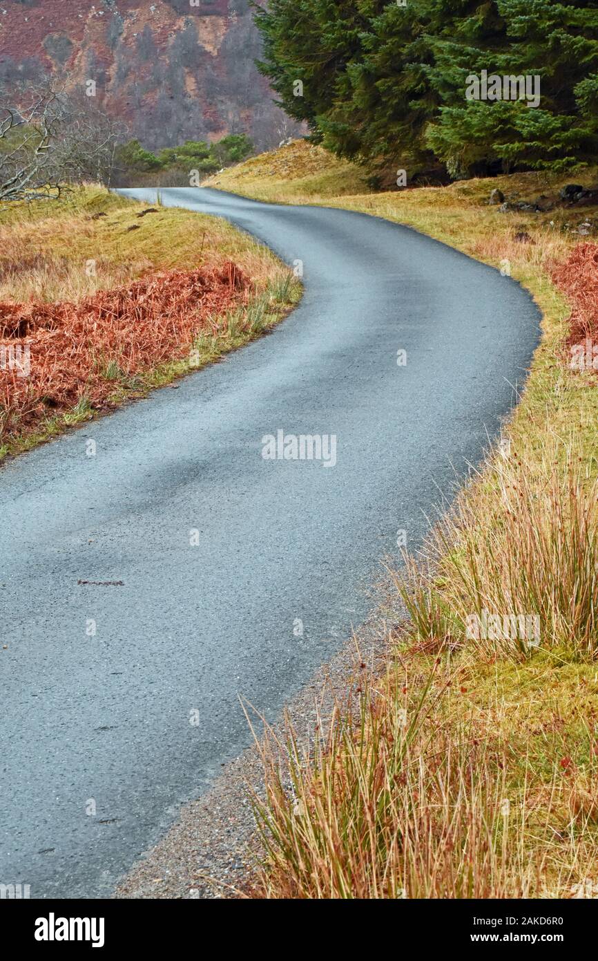 Single track camino serpentea a través de Glen Lyon en Perthshire Escocia. La hierba, helechos, árboles y heather en segundo plano. Foto de stock