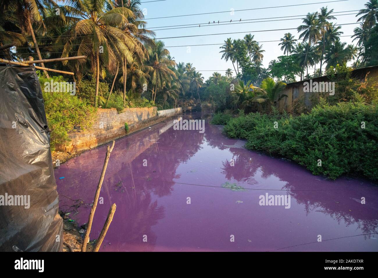 Extraño estanque cerca del mar en Gokarna con color violeta de agua. Uno alemán me dijo que la naturaleza de este color en particular es una bacteria (no chemi Foto de stock