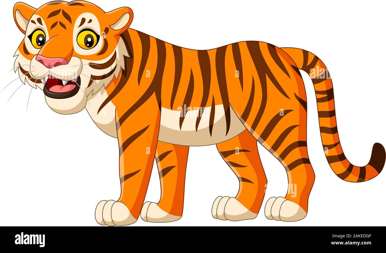 Tigre de dibujos animados aislado sobre fondo blanco Imagen Vector de stock  - Alamy