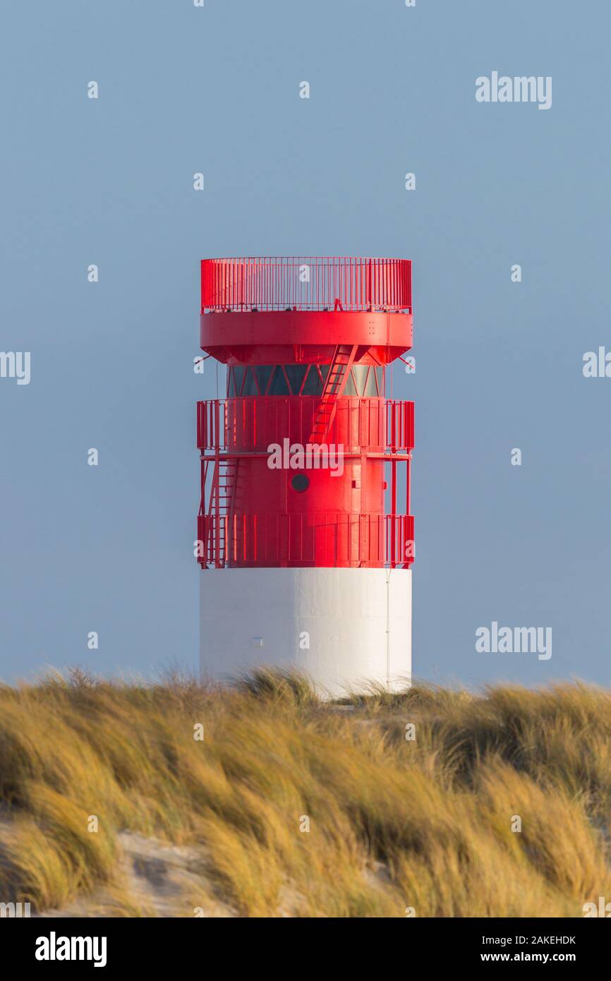 Faro rojo en Helgoland Duene isla en el cielo azul y praderas de oro Foto de stock